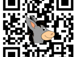 qr-tag_erlikopf_30x30mm